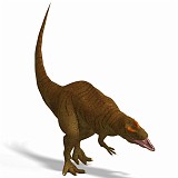 Allosaurus 03 A_0001